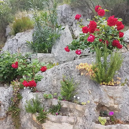 公寓 索尼娅＆提欧赫瓦尔别墅公寓 赫瓦尔